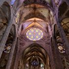 Catedral de Palma de Mallorca (2)
