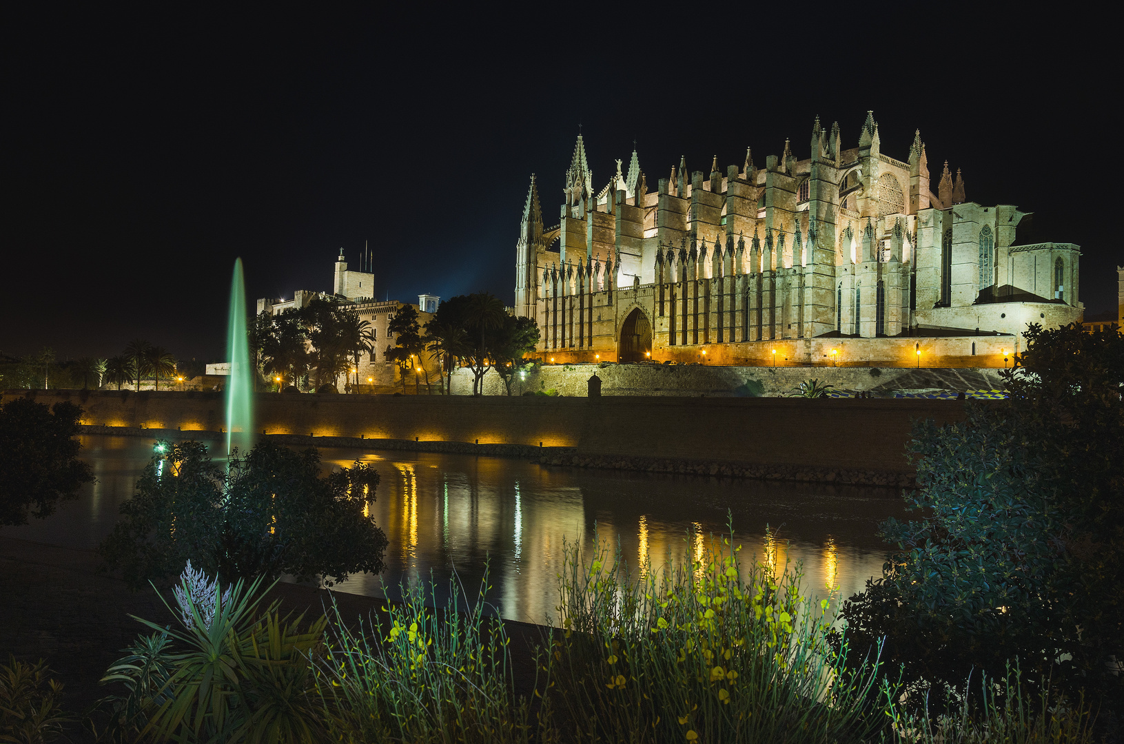 Catedral de Palma- nocturna Mayo 2015