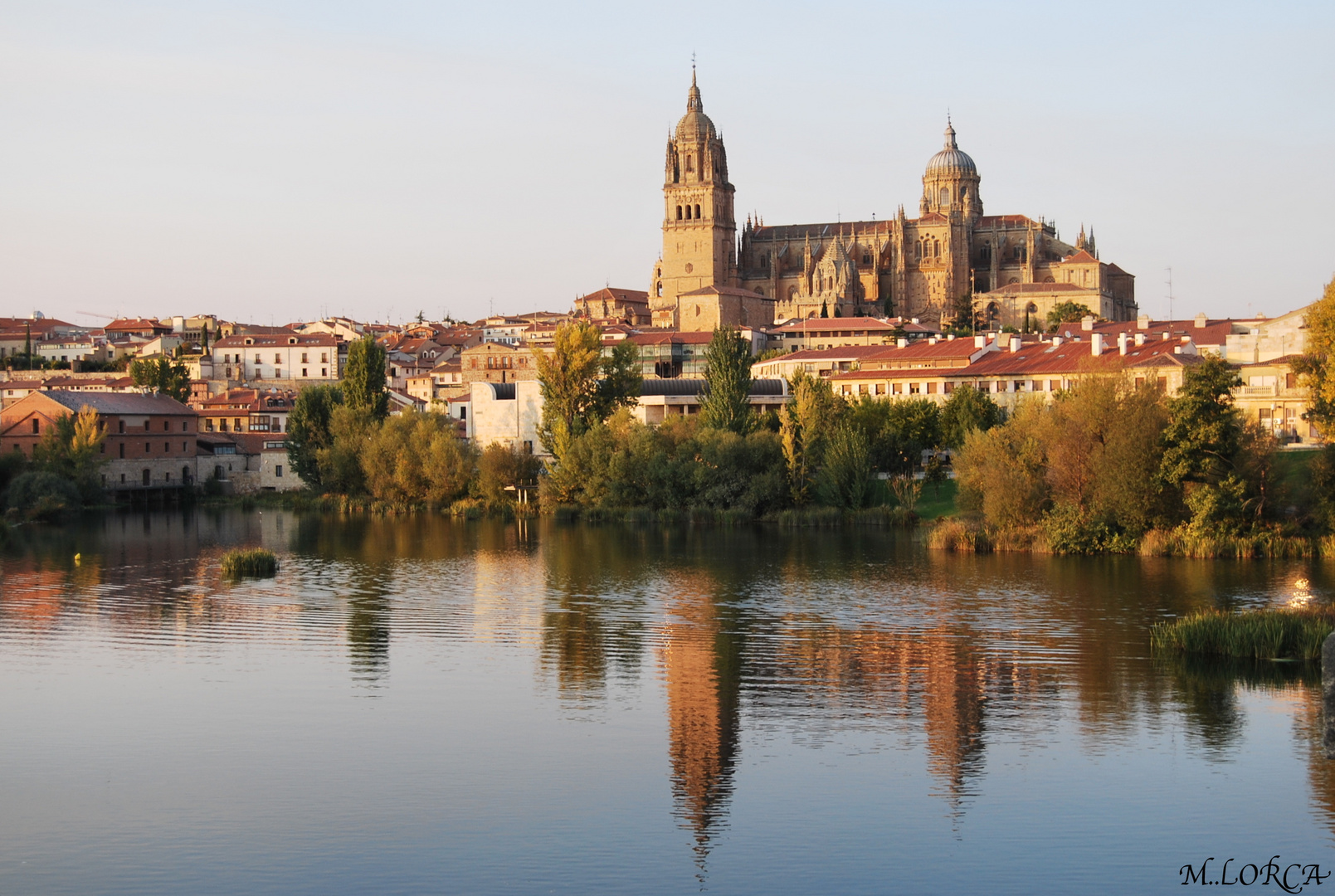 Catedral de ( Salamanca