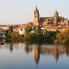 Catedral de ( Salamanca