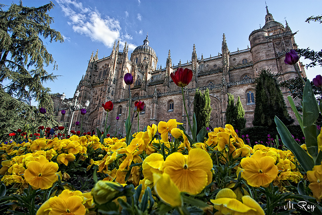 CATEDRAL DE SALAMANCA