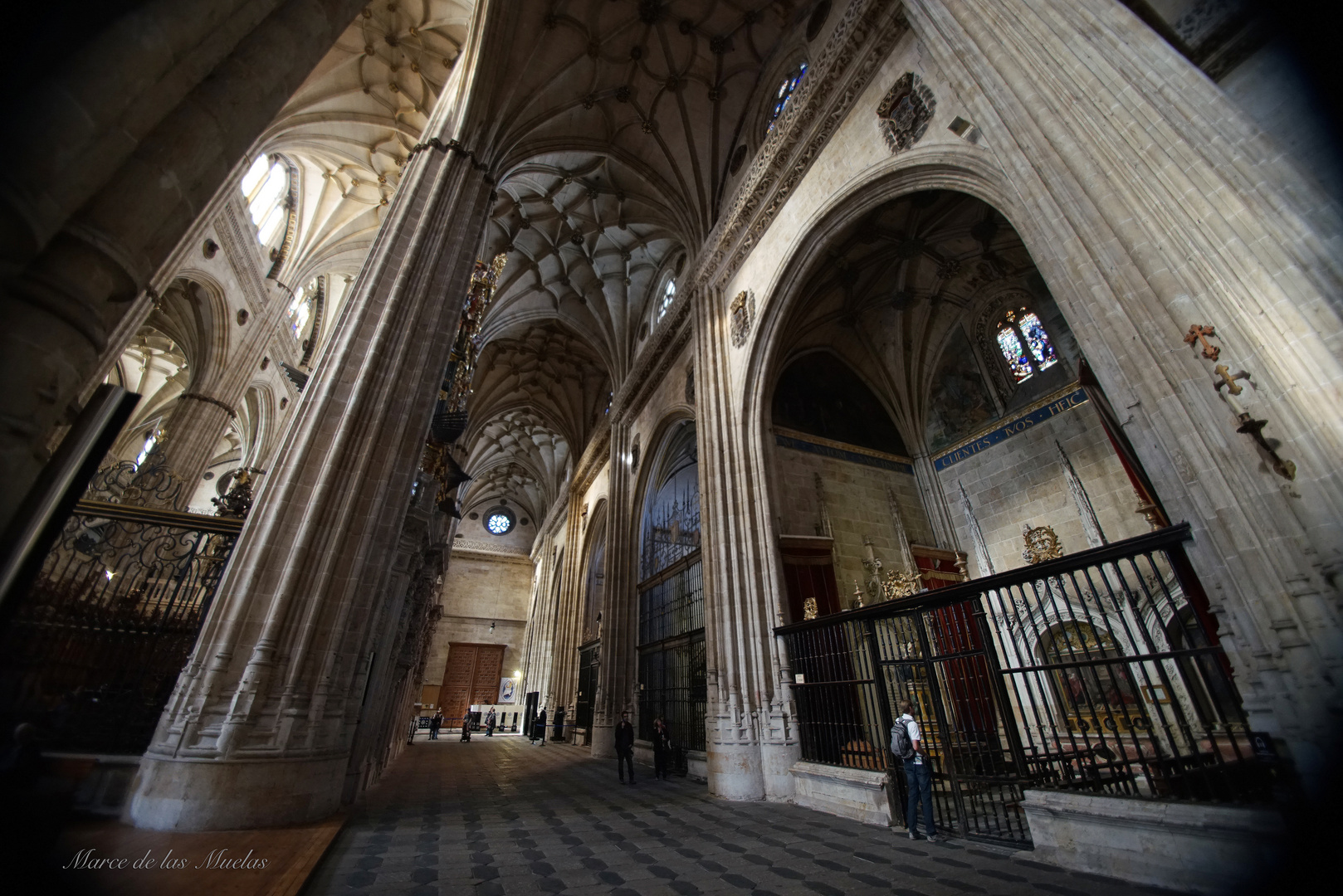 ...Catedral de Salamanca...