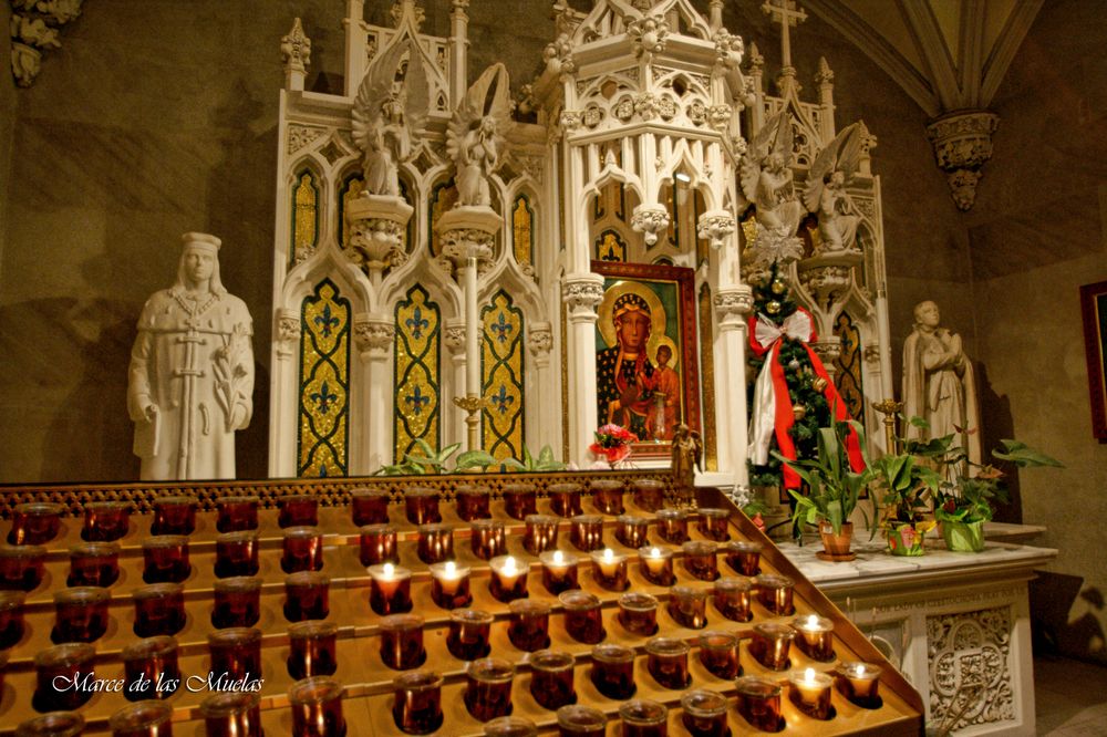 ...Catedral de San Patricio 3....