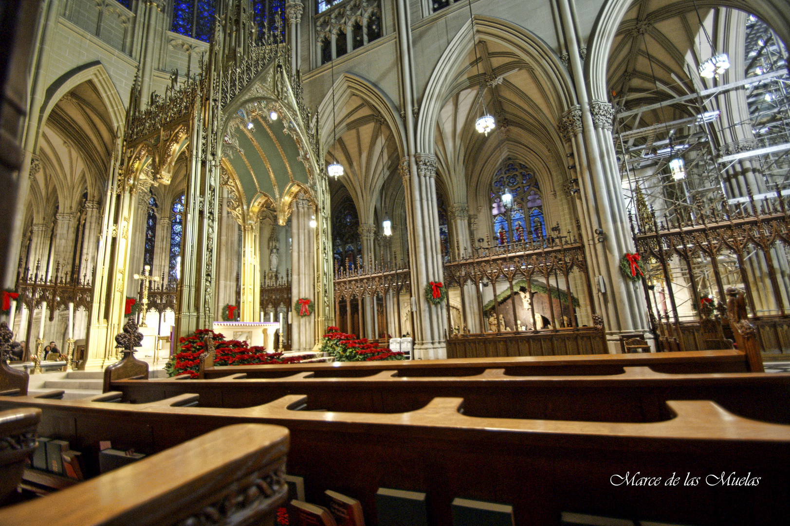 ...Catedral de San Patricio 4....