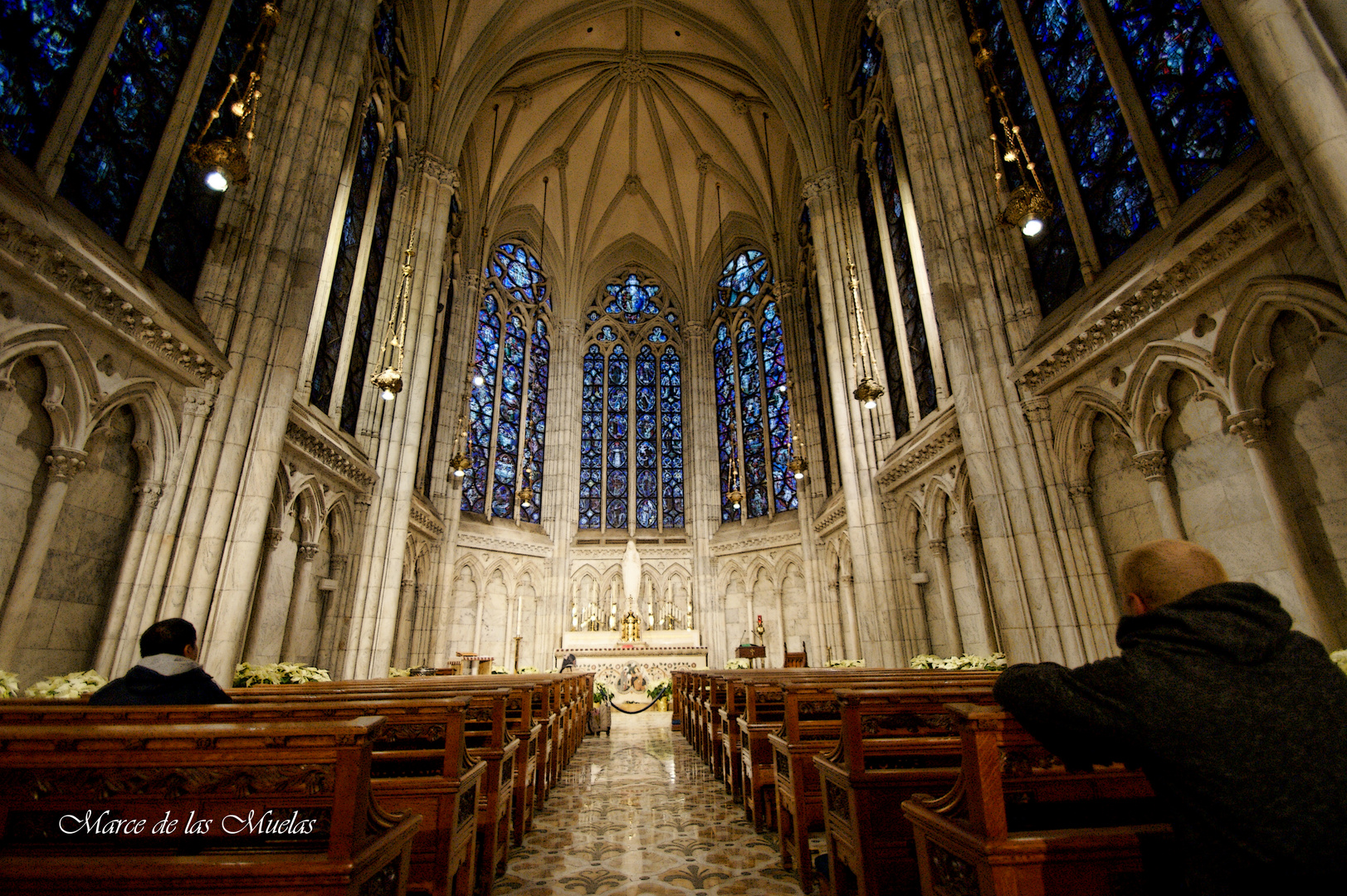 ...Catedral de San Patricio 5...