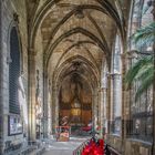 Catedral de Santa Eulalia IV - Barcelona