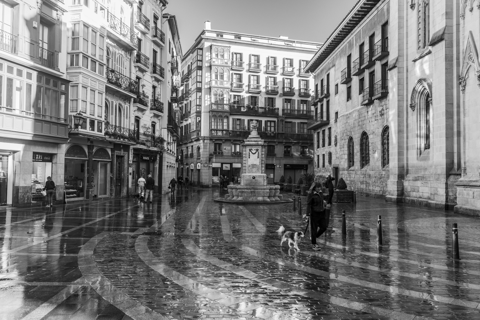 Catedral de Santiago-Bilbao