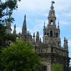 catedral de sevilla