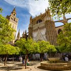 Catedral de Sevilla - Orangenhof