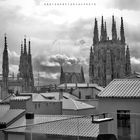 CATEDRAL DESDE CAB