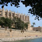 Catedral La Seu / Mallorca