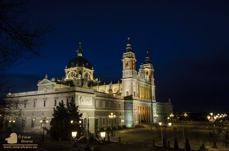 Catedral nocturna