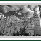 Catedral nueva de Salamanca 5/5