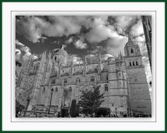 Catedral nueva de Salamanca 5/5