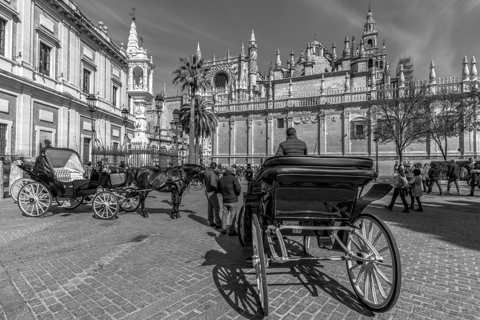 catedral sevilla