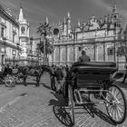 catedral sevilla