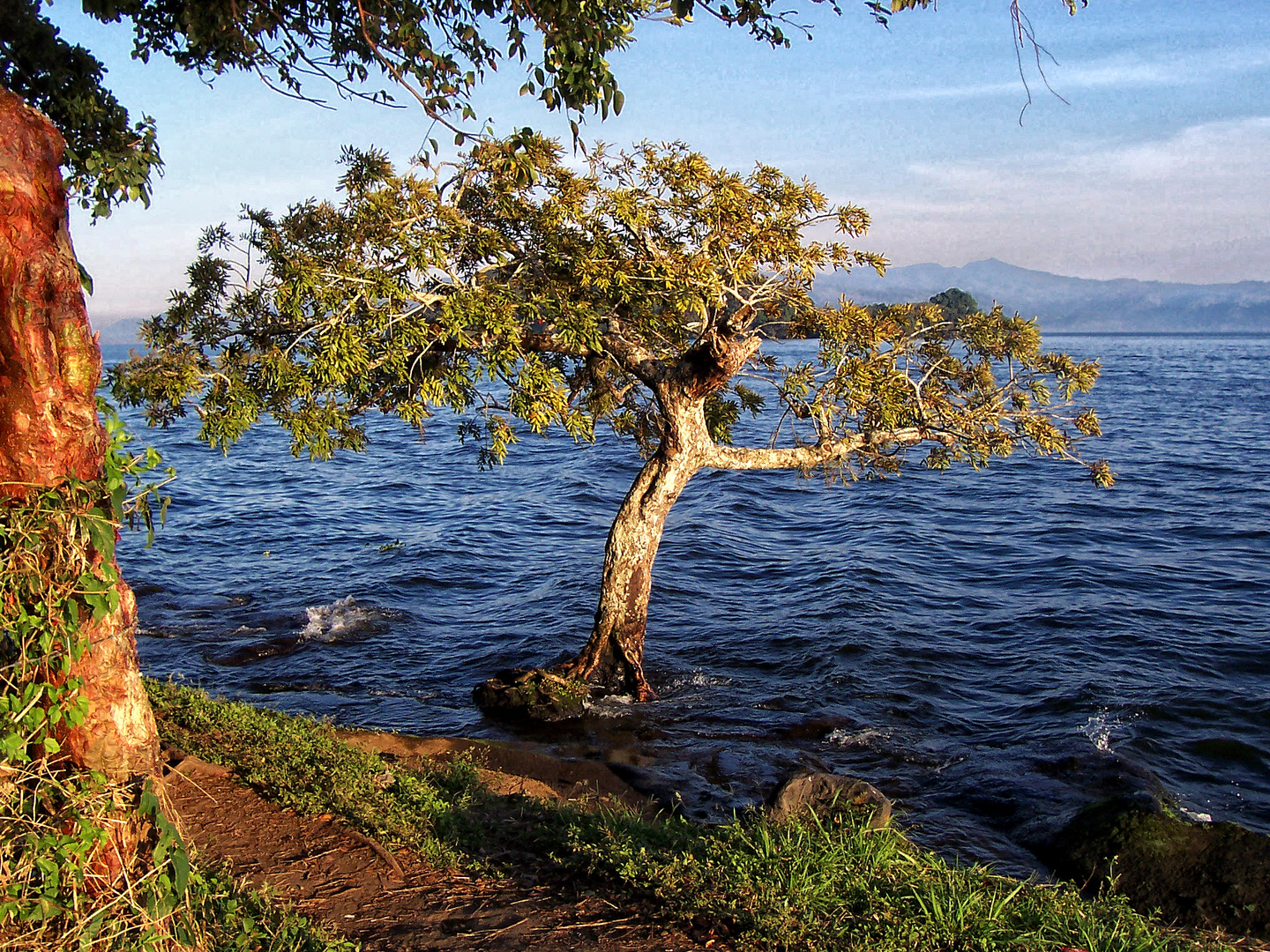 Catemaco