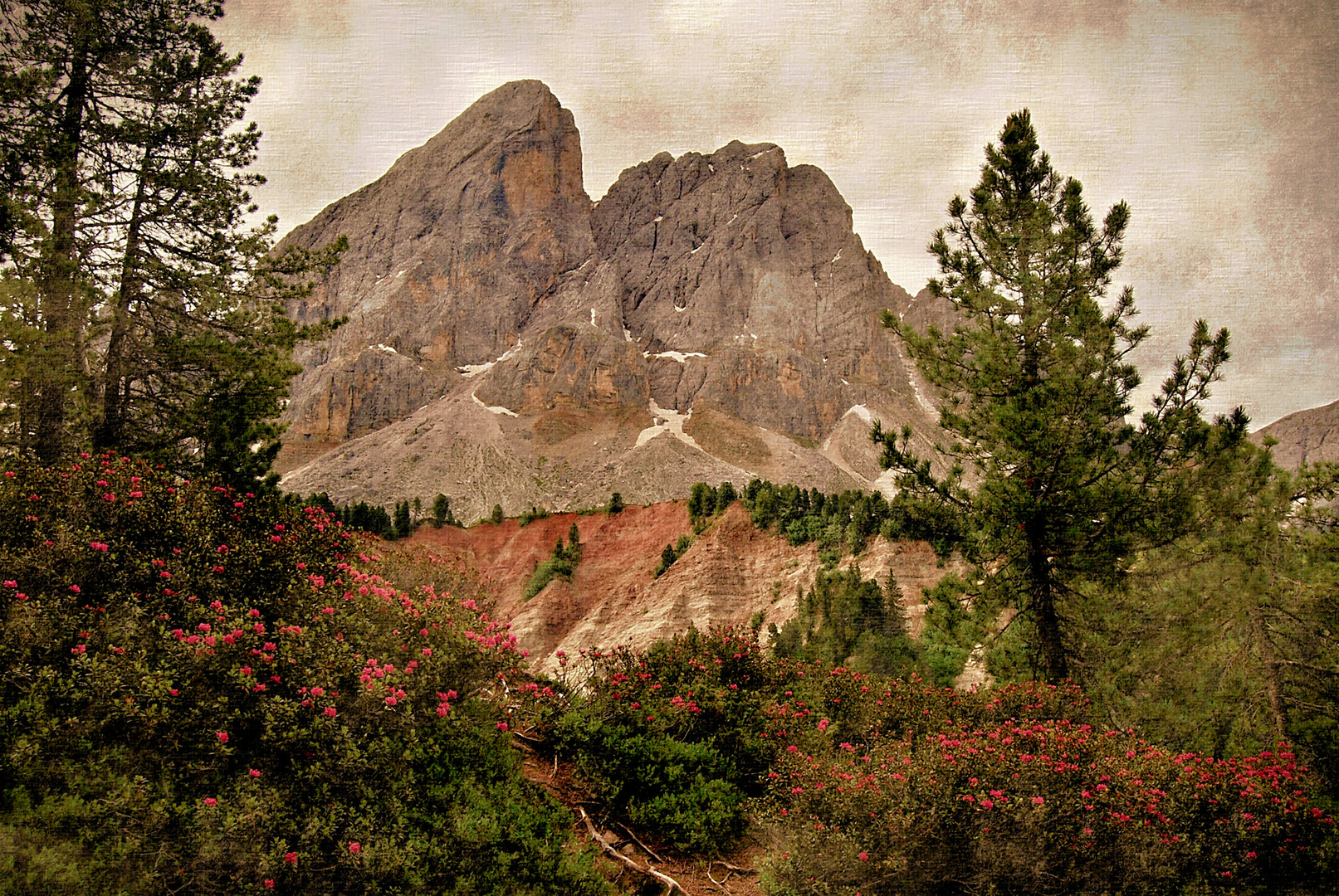 Catene Dolomitiche: Il Sass de Putia