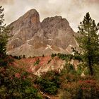 Catene Dolomitiche: Il Sass de Putia