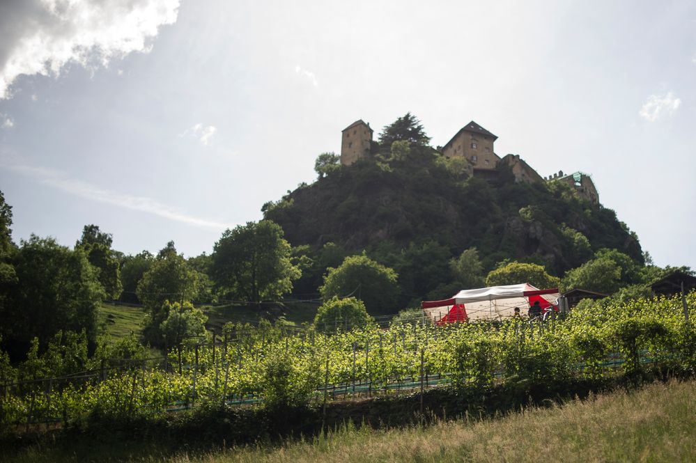 Catering im Weinberg