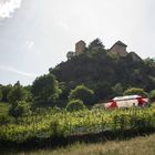 Catering im Weinberg