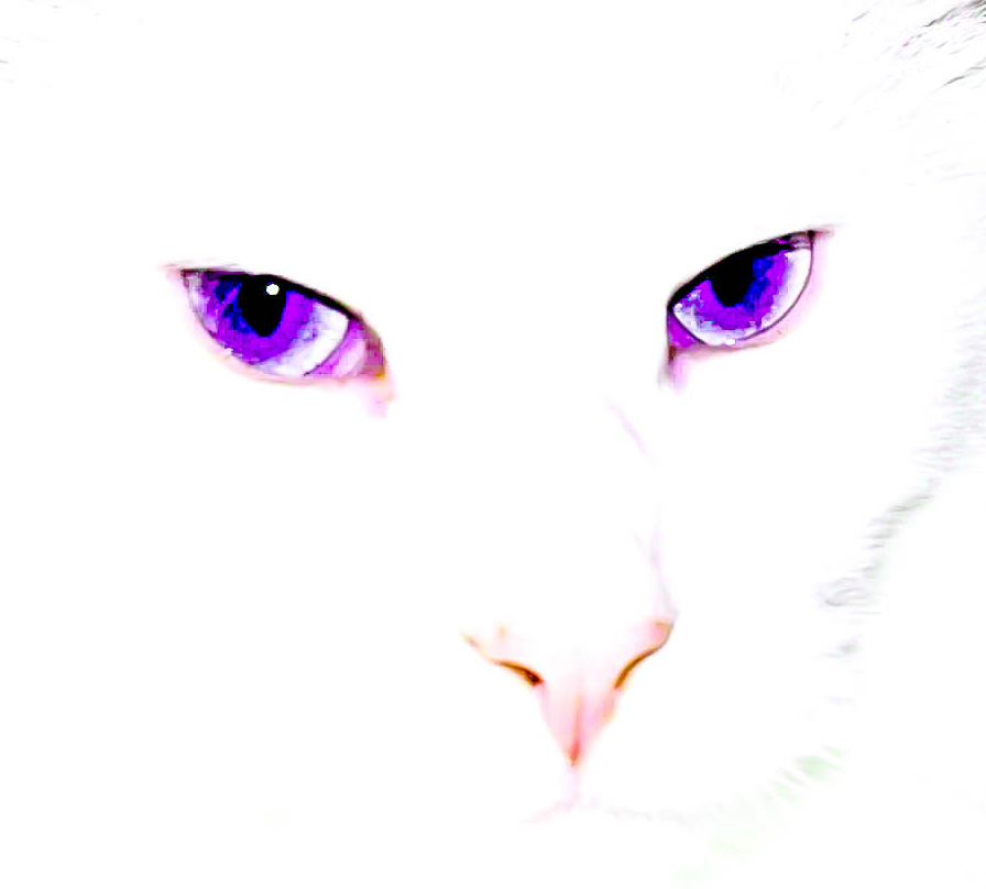 Cateyes