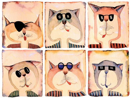 Catfamily , 3