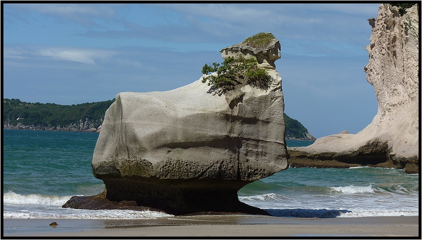 Cathedral Cove