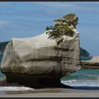 Cathedral Cove