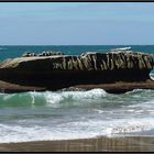 Cathedral Cove 2