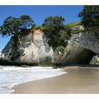 cathedral cove