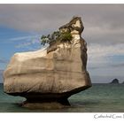 Cathedral Cove