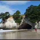 Cathedral Cove 6