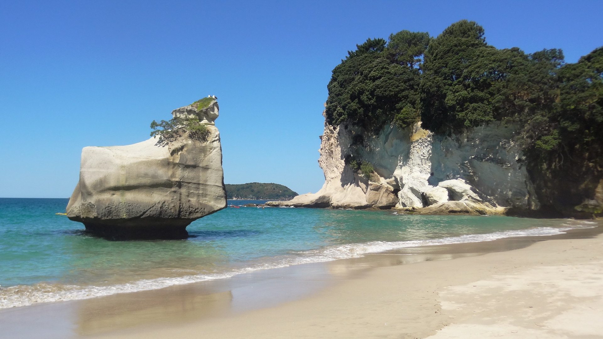 cathedral cove