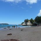 CATHEDRAL COVE BEI HAHEI NEUSEELAND