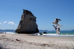 Cathedral Cove