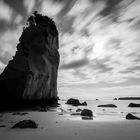 Cathedral Cove - Coromandel