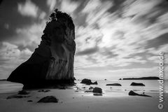 Cathedral Cove - Coromandel