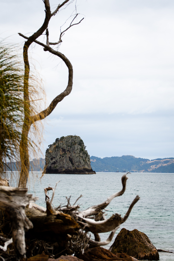 Cathedral Cove