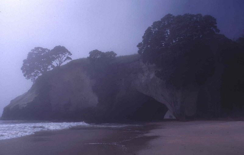 Cathedral Cove - Neuseeland -