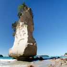 Cathedral Cove Panorama