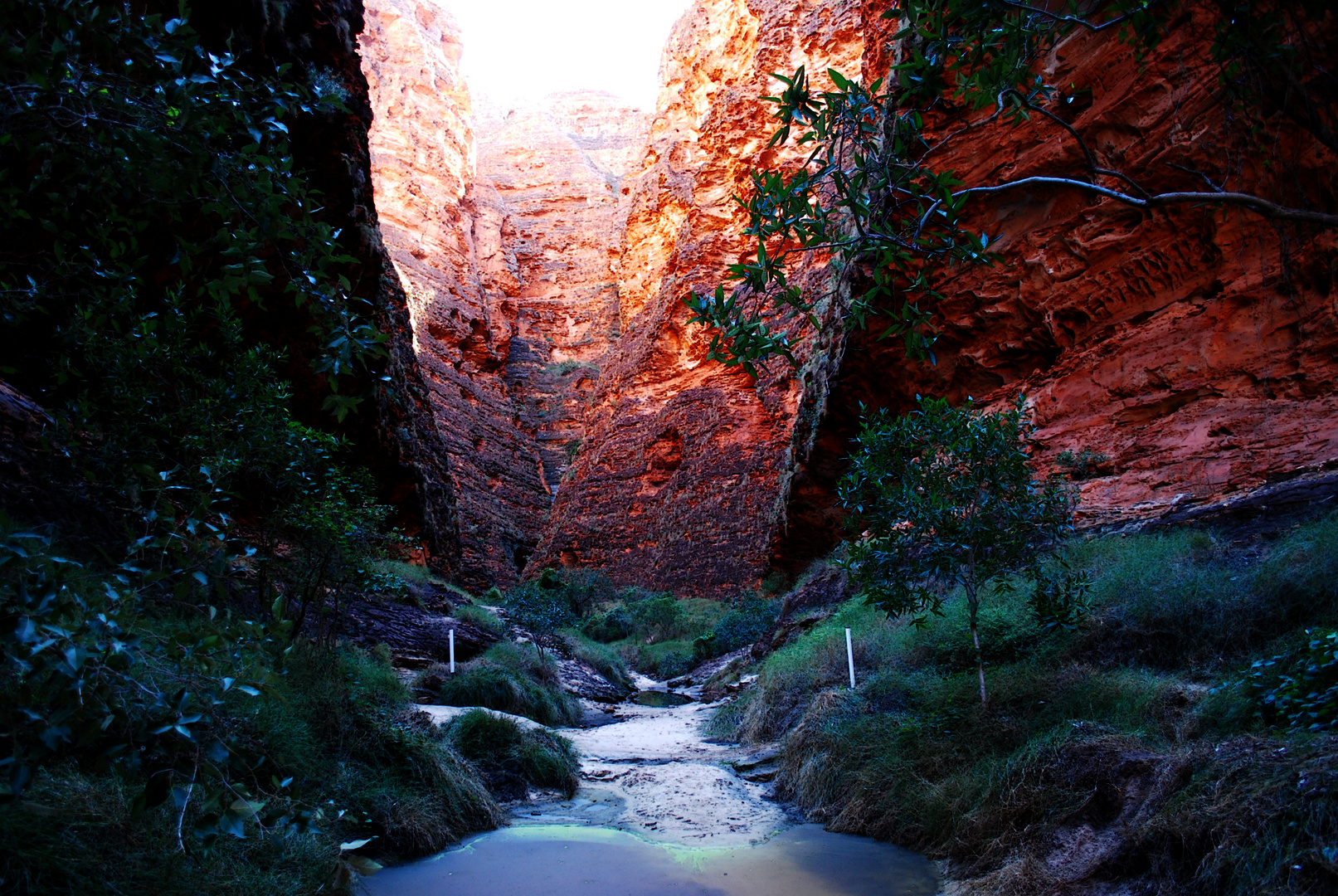 Cathedral Gorge 1