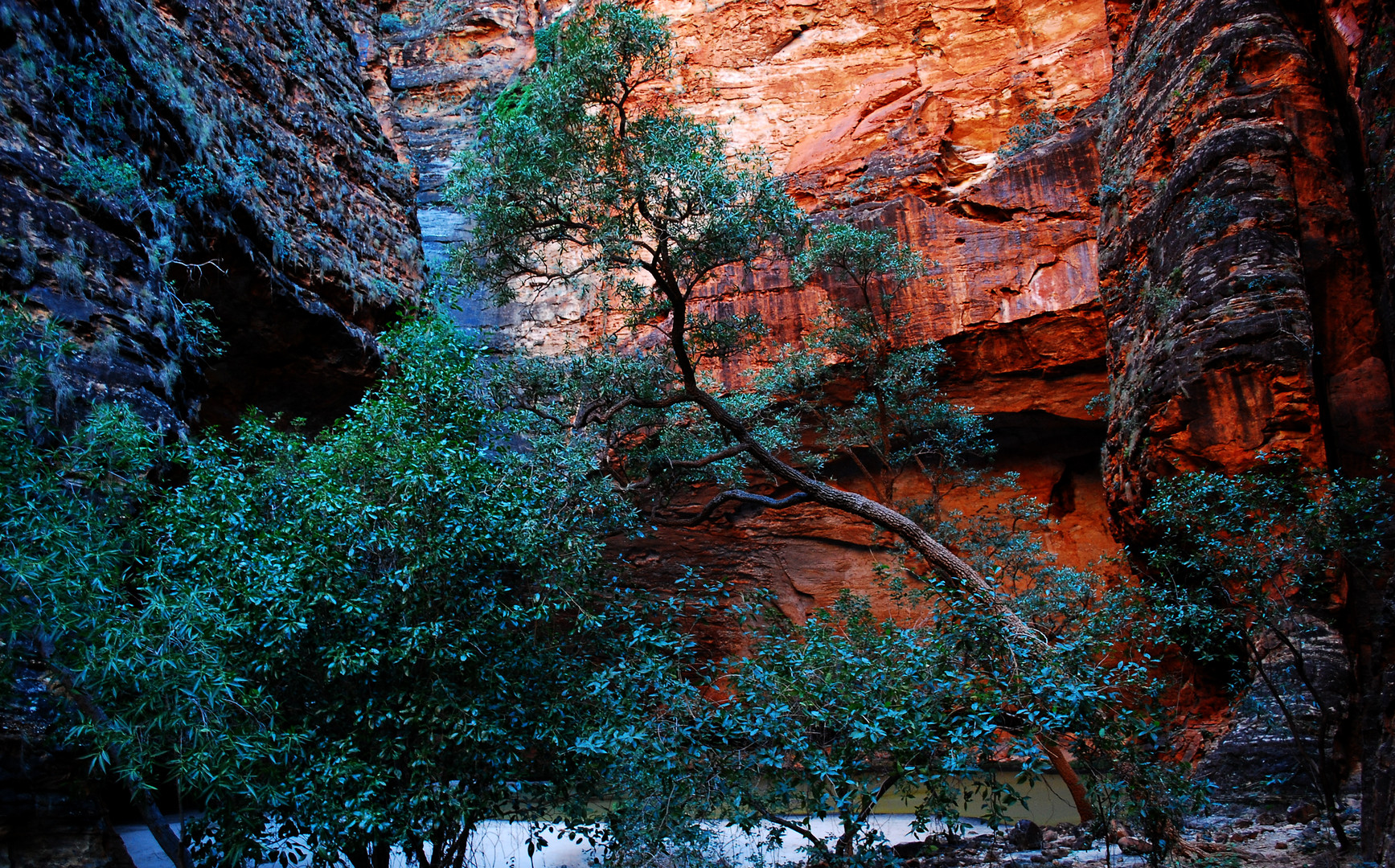 Cathedral Gorge 3