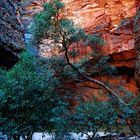 Cathedral Gorge 3