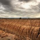 Cathedral Gorge I