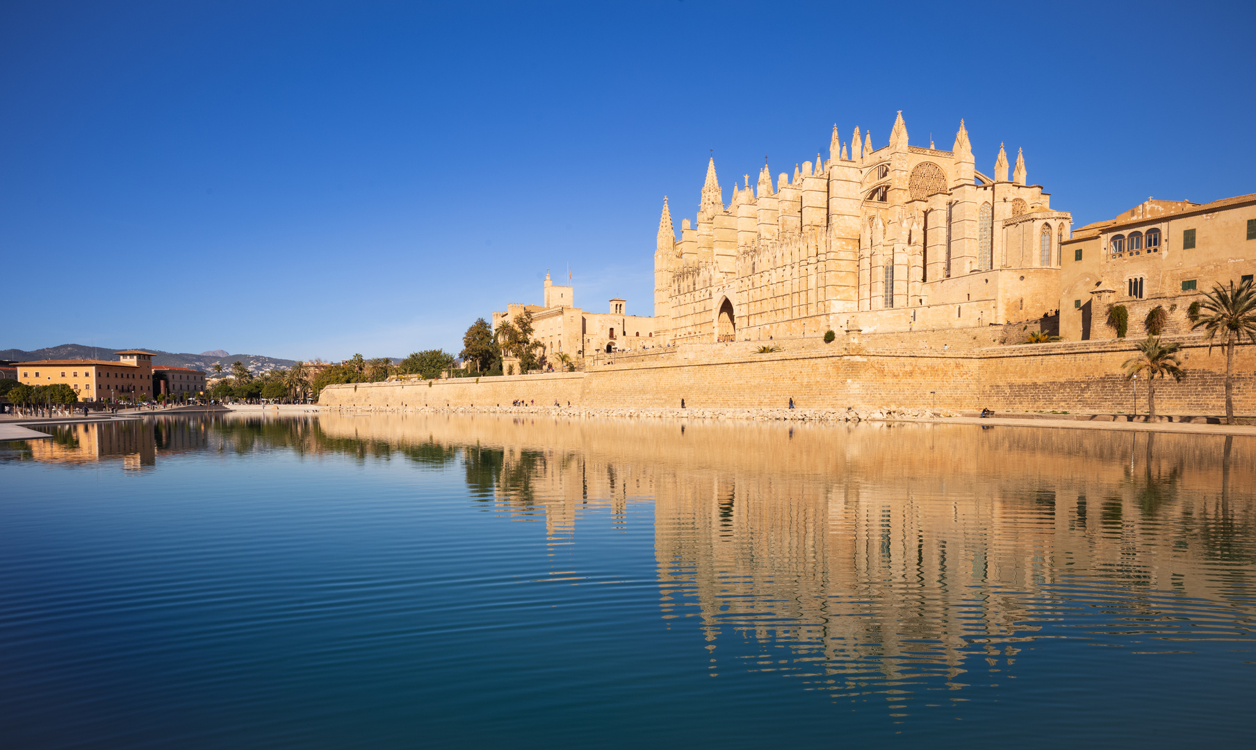 cathedral in palma