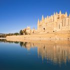 cathedral in palma