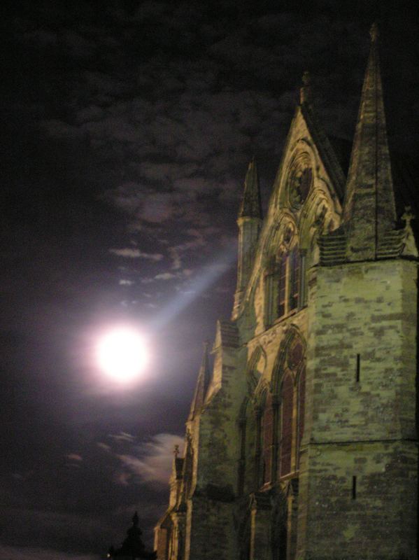 Cathedral in the Moonlight von Peggy Moeller