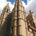 Cathedral o la Seu/Museu