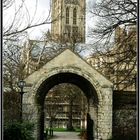 Cathedral of Canterbury